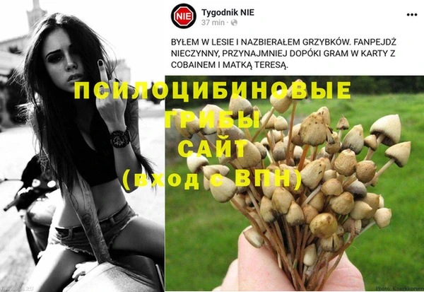 COCAINE Каменка